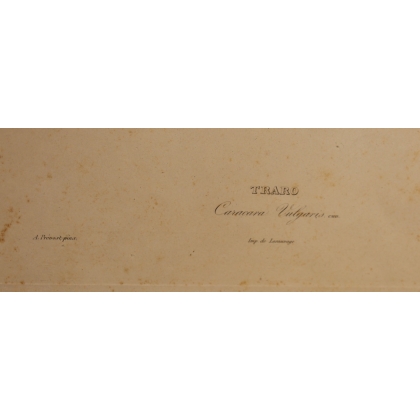 Gravure Traro par PRÉVOST