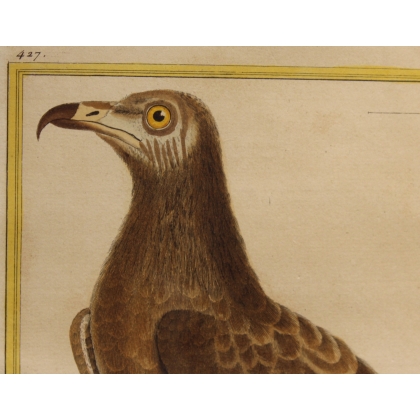 Engraving of ‘The Vulture of Malthe’ by MARTINET