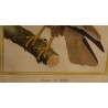 Engraving of ‘The Vulture of Malthe’ by MARTINET