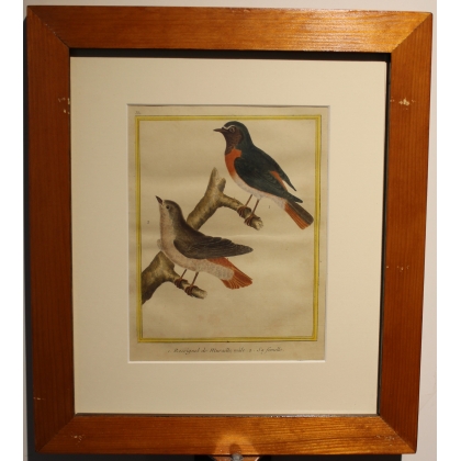 Engraving of ‘The Nightingale on the Wall’ by MARTINET