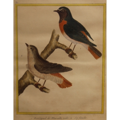 Engraving of ‘The Nightingale on the Wall’ by MARTINET