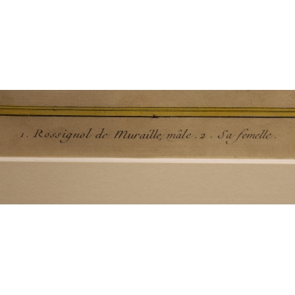 Engraving of ‘The Nightingale on the Wall’ by MARTINET