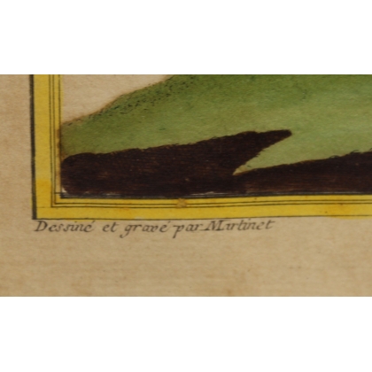 Engraving of a female francolin by MARTINET