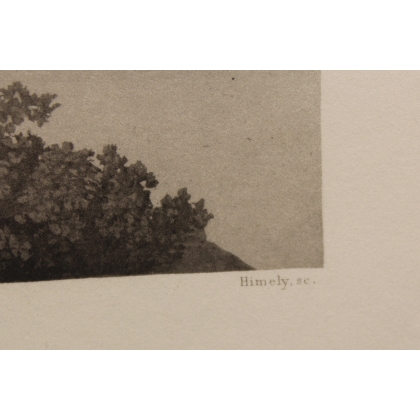 Gravure "Vue de Vevey" par JENNY