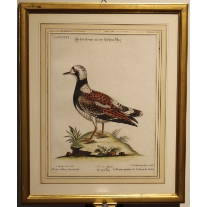 Engraving ‘Der Steindreher’ by EDUARDS