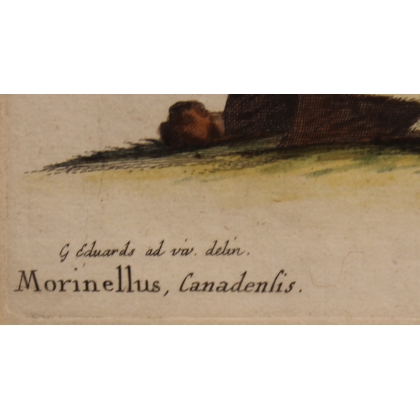 Gravure "Der Steindreher" par EDUARDS
