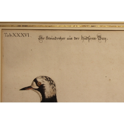 Gravure "Der Steindreher" par EDUARDS