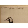 Gravure "Der Steindreher" par EDUARDS