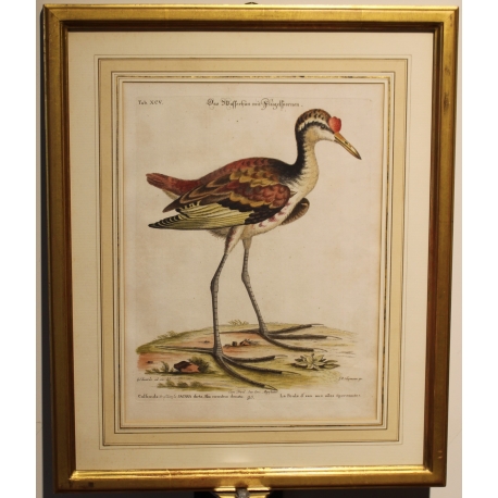 Engraving of "Das Wasserhun" by EDUARDS