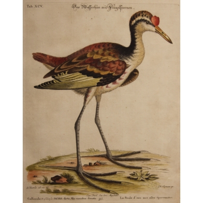 Engraving of "Das Wasserhun" by EDUARDS