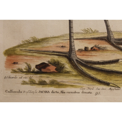 Engraving of "Das Wasserhun" by EDUARDS
