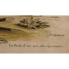 Engraving of "Das Wasserhun" by EDUARDS