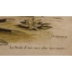 Gravure "Das Wasserhun" par EDUARDS