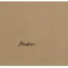Engraving ‘Tangara’ by PRETRE