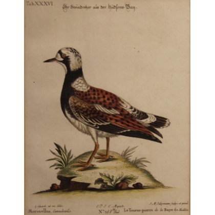 Gravure "Der Steindreher" par EDUARDS