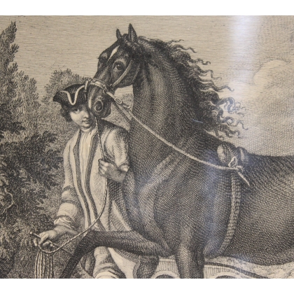 Radierung eines „neapolitanischen“ Pferdes von Moinat SA – Antiquitäten und Dekoration – Radierungen, Lithografien