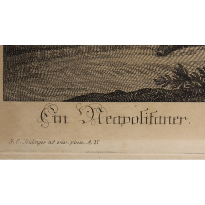 Radierung eines „neapolitanischen“ Pferdes von Moinat SA – Antiquitäten und Dekoration – Radierungen, Lithografien