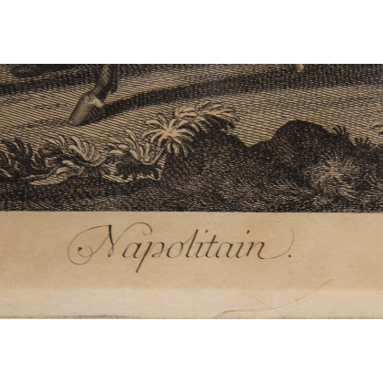 Radierung eines „neapolitanischen“ Pferdes von Moinat SA – Antiquitäten und Dekoration – Radierungen, Lithografien