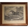 Stich „Tatarisches Pferd“ von RIDINGER  bei Moinat SA  – Antiquitäten und Dekoration –  Stiche, Lithografien