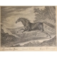 Gravure "Cheval Tartare" de RIDINGER