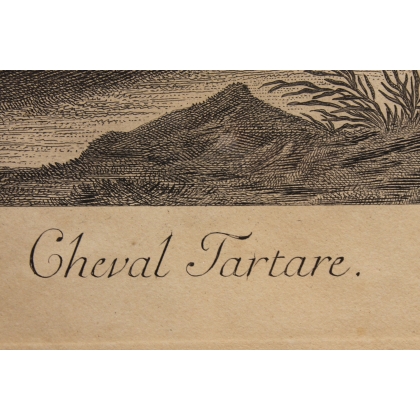 Stich „Tatarisches Pferd“ von RIDINGER  bei Moinat SA  – Antiquitäten und Dekoration –  Stiche, Lithografien