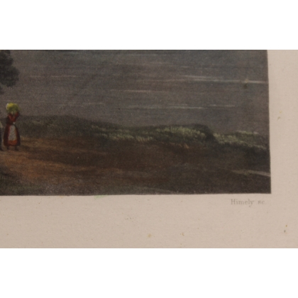 Gravure "Chutes du Rhin" par HIMELY