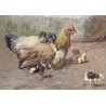 Tableau \"Poules\" signé BAIRD