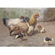 Tableau "Poules" signé BAIRD