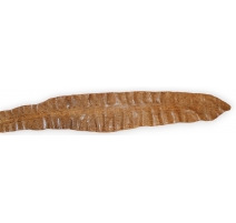 Peau de serpent