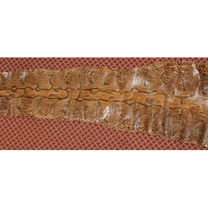 Snakeskin