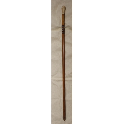 Canne en bois avec pommeau en corne