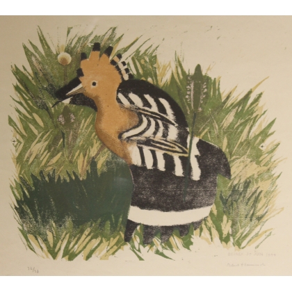 Gravure "Huppe se possant" signée Robert HAINARD