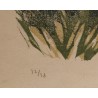 Gravure "Huppe se possant" signée Robert HAINARD