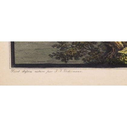 Engraving ‘View of Geneva’ by BIEDERMANN