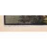Engraving ‘View of Geneva’ by BIEDERMANN