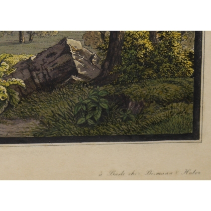 Engraving ‘View of Geneva’ by BIEDERMANN