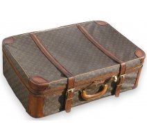 VUITTON suitcase with a zip.