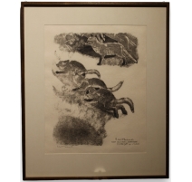 Gravure "Renardeaux se poursuivant" signée HAINARD