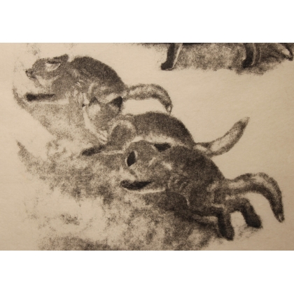 Gravure "Renardeaux se poursuivant" signée HAINARD