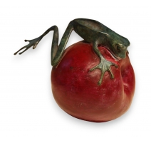 Grenouille grimpant sur une pomme en bronze