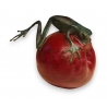 Grenouille grimpant sur une pomme en bronze