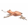 Giant bronze frog