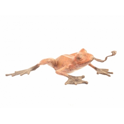 Giant bronze frog