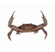 Crabe en bronze