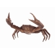 Crabe en bronze