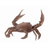 Bronze crab