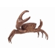 Crabe pince droite plus grande en bronze