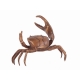 Crabe pince droite plus grande en bronze