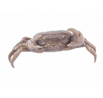Crabe pince gauche plus grande en bronze