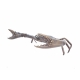 Grand crabe en bronze